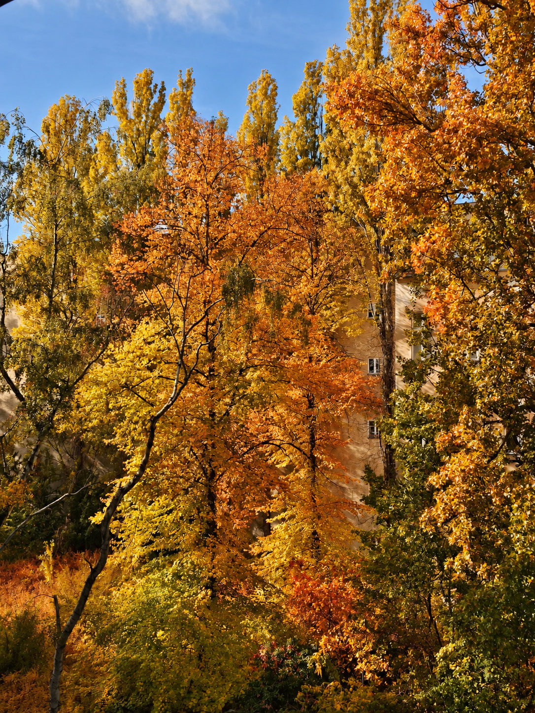 Mitten im Herbst